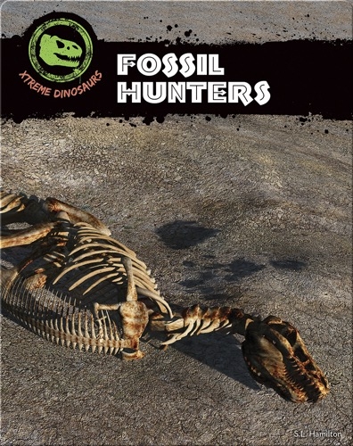 dino hunters fossils for sale