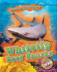 Animals of the Coral Reefs: Whitetip Reef Sharks