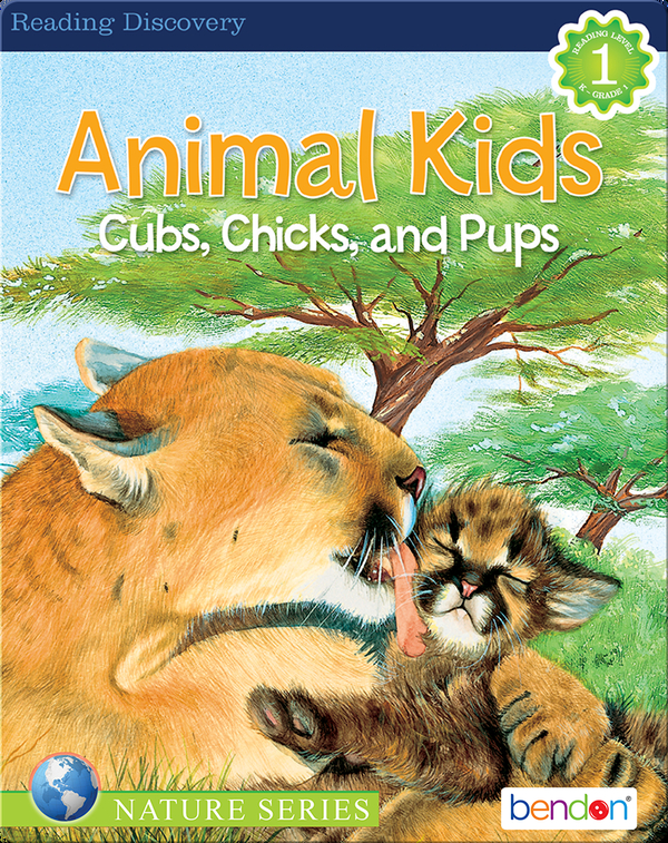 Animal Kids