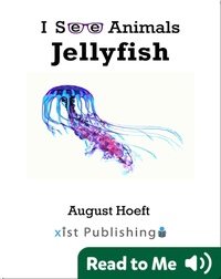 I See Animals: Jellyfish