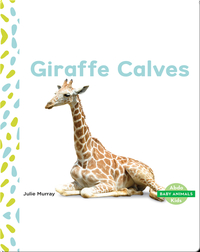 Baby Animals: Giraffe Calves