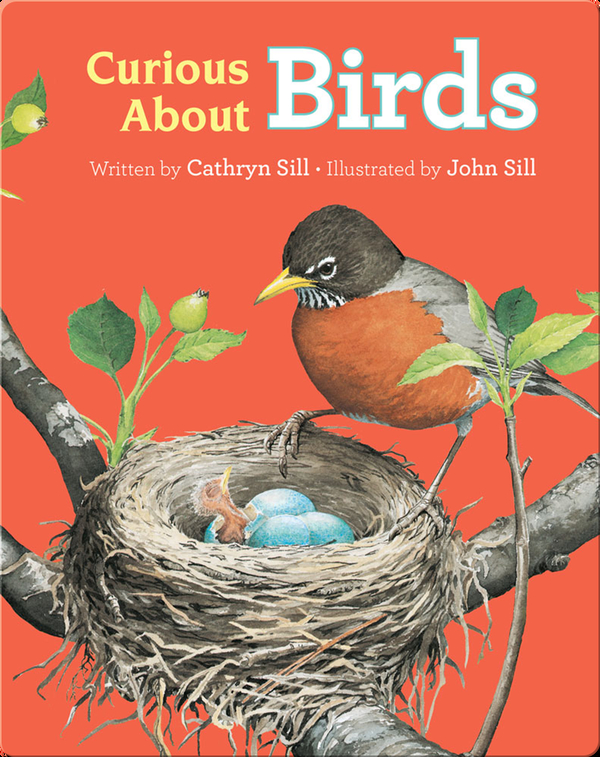 Discovering Nature: Curious About Birds Children's Book by Sill With Illustrations by John Sill | Discover Children's Books, Audiobooks, & More on Epic