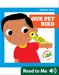 Family Pets: Our Pet Bird