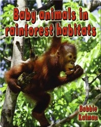 Baby Animals in Rainforest Habitats