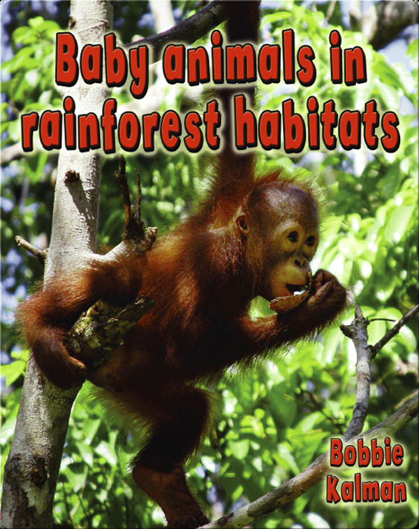 Baby Animals In Rainforest Habitats Children S Book By Bobbie Kalman With Illustrations By Barbara Bedell Margaret Amy Salter Discover Children S Books Audiobooks Videos More On Epic