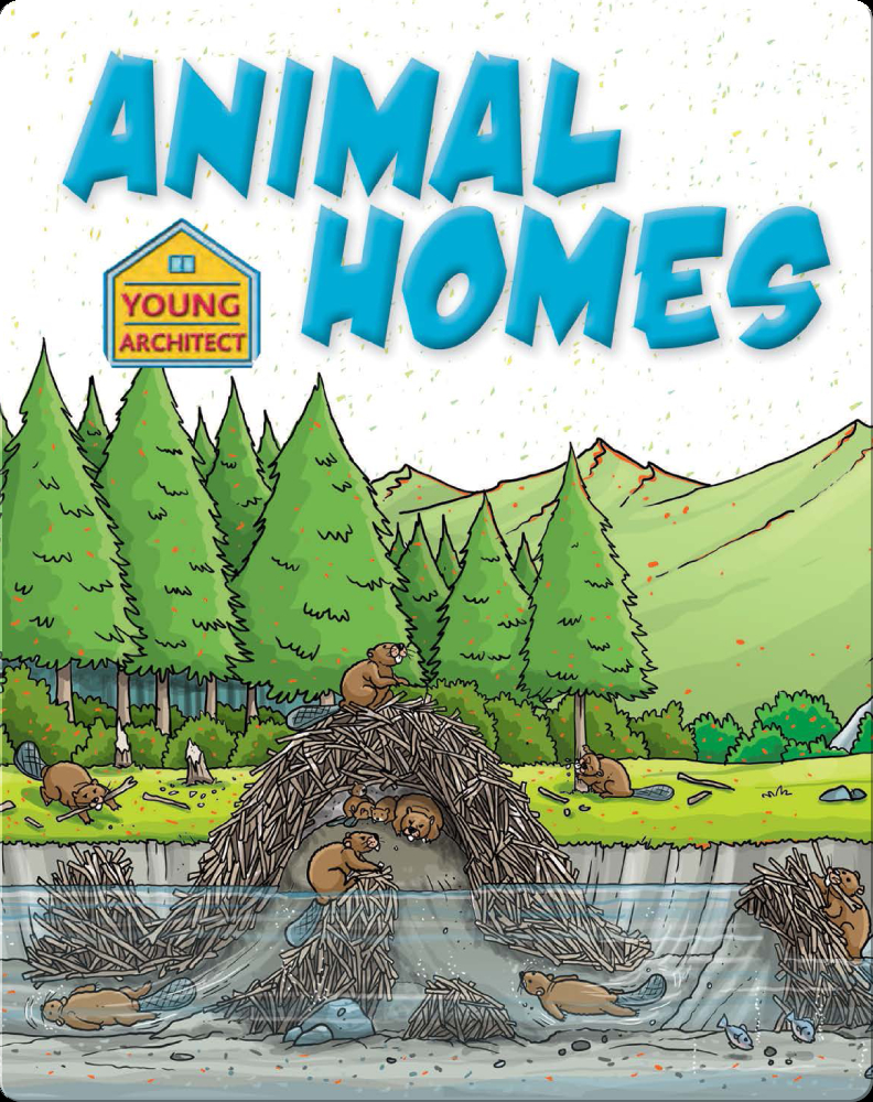 Animal Homes Children's Book by Saranne Taylor With Illustrations by