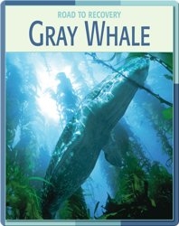 Road To Recovery: Gray Whale