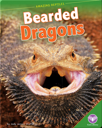 Amazing Reptiles: Bearded Dragons