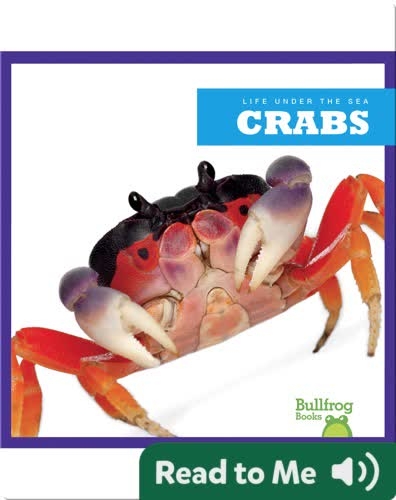 Life Under The Sea: Crabs