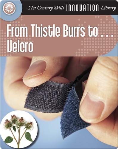 From Thistle Burrs to... Velcro