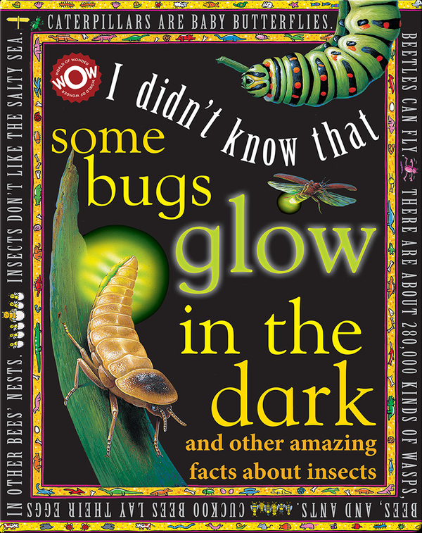 I Didn't Know That…Some Bugs Glow in the Dark