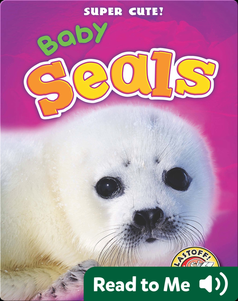 Super Cute! Baby Seals Children's Book by Christina Leaf Discover
