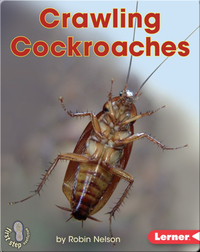 Crawling Cockroaches