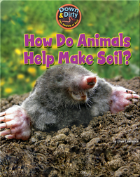 How Do Animals Help Make Soil?
