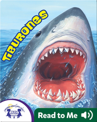 Know It Alls! Tiburones