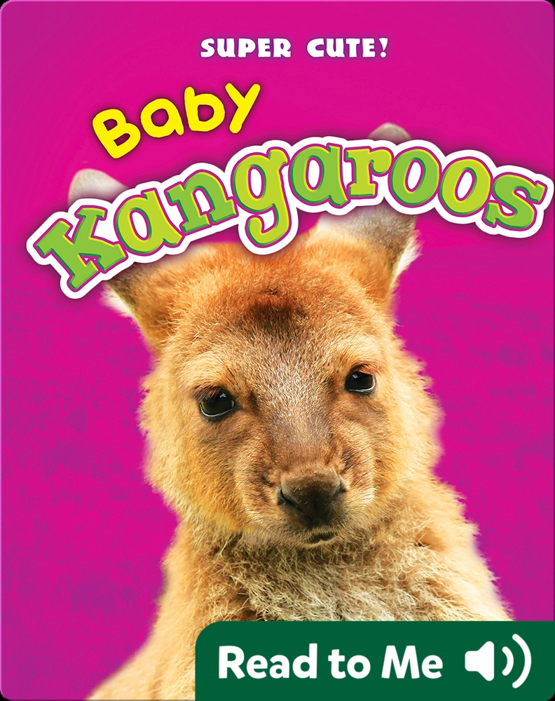 Super Cute Baby Kangaroos Children S Book By Megan Borgert Spaniol Discover Children S Books Audiobooks Videos More On Epic