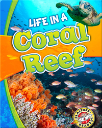 Life in a Coral Reef (Biomes Alive!)