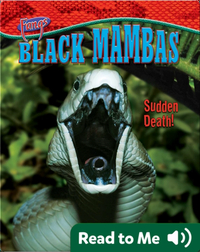 Black Mambas: Sudden Death!