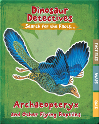Archaeopteryx and Other Flying Reptiles