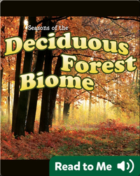 Seasons Of The Decidous Forest Biome