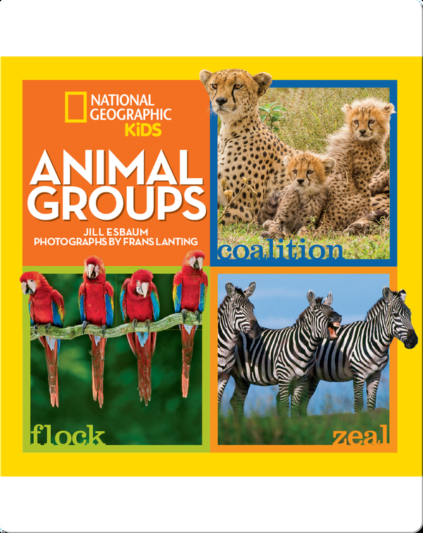 Animal Groups Children's Book by Jill Esbaum | Discover Children's ...