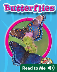 Butterflies: World of Insects