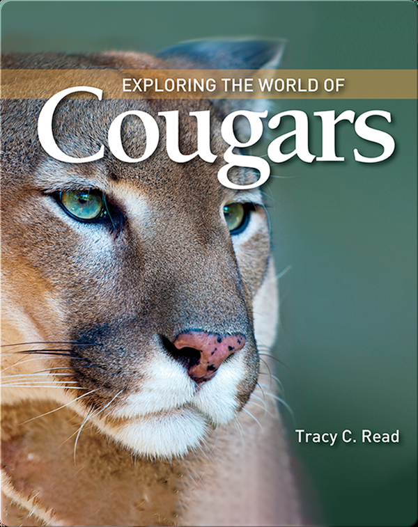 Exploring the World of Cougars