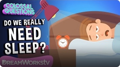 What If You NEVER Slept Again? | COLOSSAL QUESTIONS