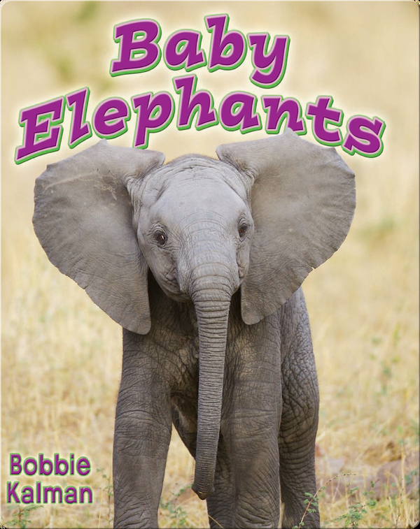 Baby Elephants Children S Book By Bobbie Kalman Discover Children S Books Audiobooks Videos More On Epic