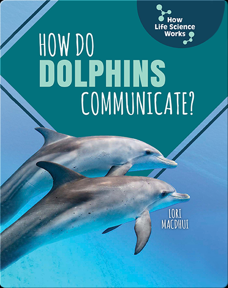 how-do-dolphins-communicate