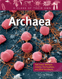 Archaea: Salt-lovers, Methane-makers, Thermophiles, and other Archaeans