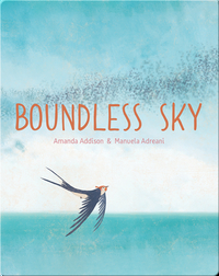 Boundless Sky