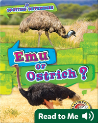 Spotting Differences: Emu or Ostrich?