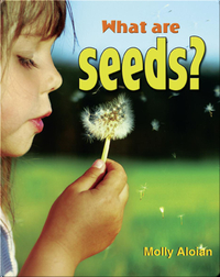What Are Seeds?
