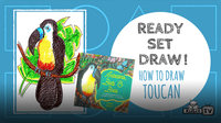 Ready Set Draw! How to Draw a TOUCAN from ANTEATERS, BATS & BOAS with Roxie Munro