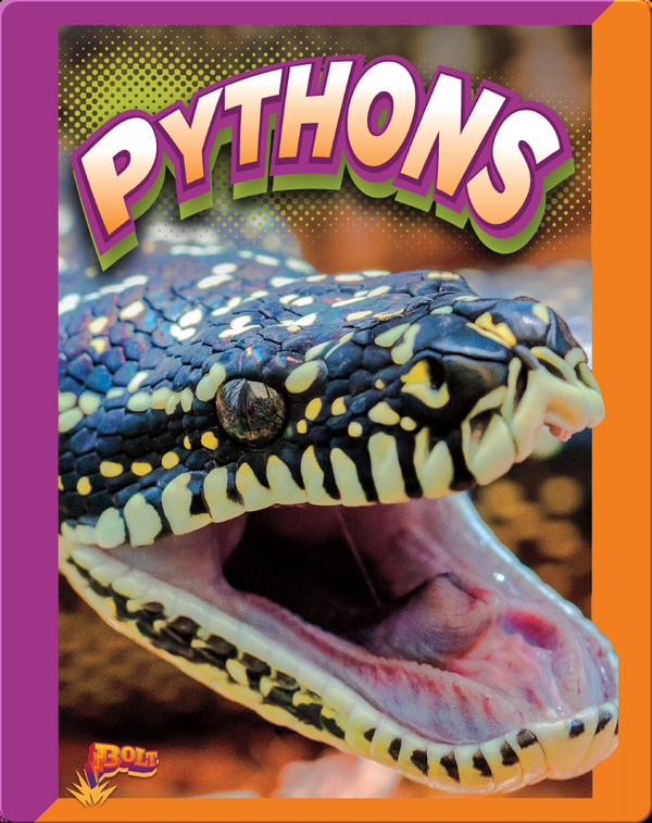 Slithering Snakes: Pythons