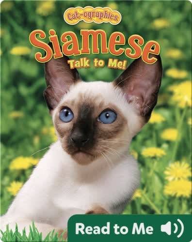 Siamese: Talk To Me!