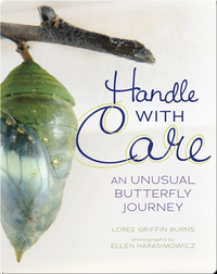 Handle With Care: An Unusual Butterfly Journey
