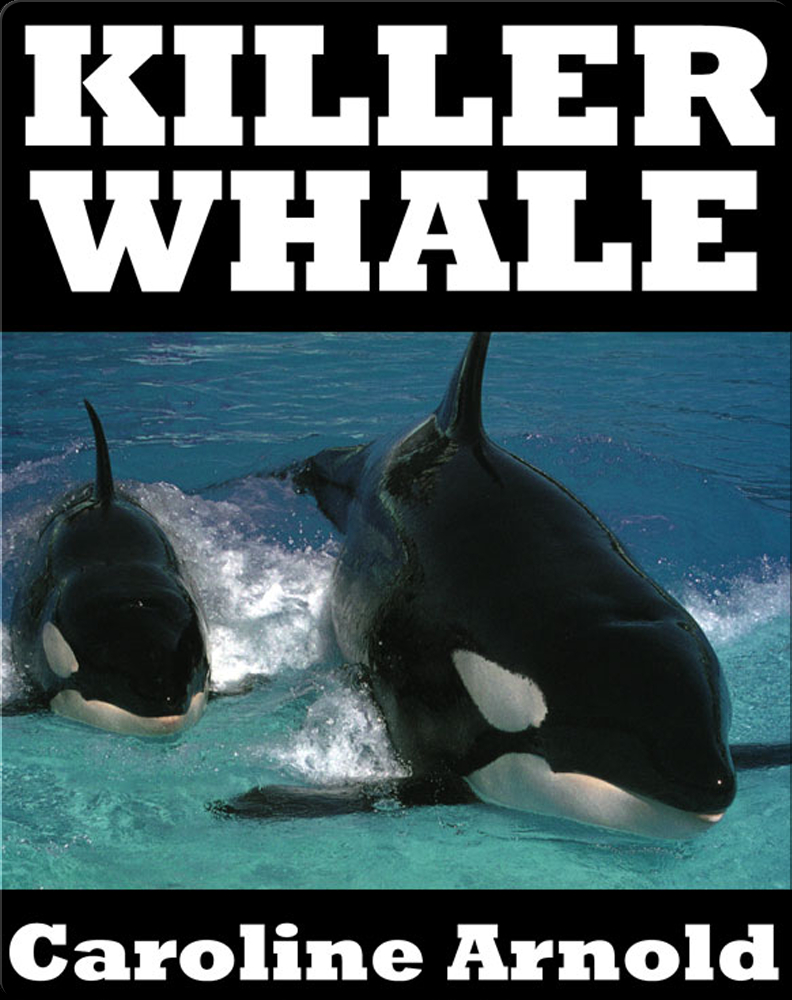 Killer Whale Children's Book by Caroline Arnold Discover Children's