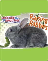 Let's Talk About Pets: Raising Rabbits
