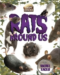 Rats Around Us