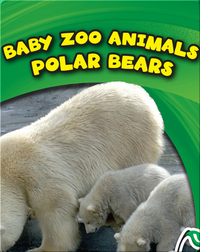 Baby Zoo Animals: Polar Bears