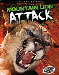 Mountain Lion Attack