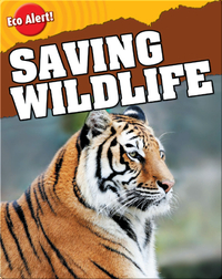 Saving Wildlife