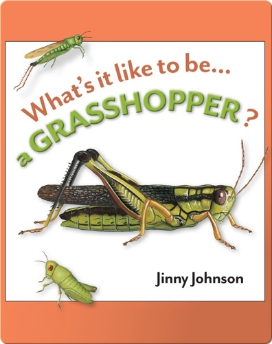 What's It Like To Be A Grasshopper?