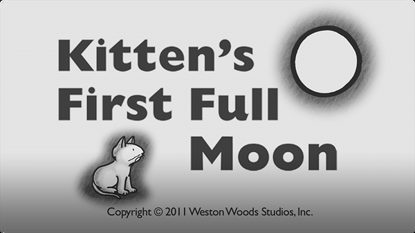 Kitten's First Full Moon