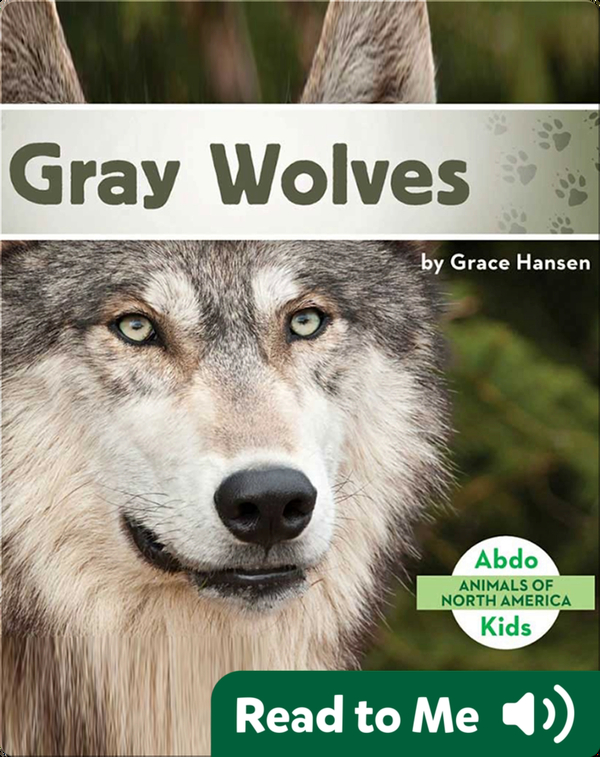 Gray Wolves Children's Book by Grace Hansen Discover Children's Books