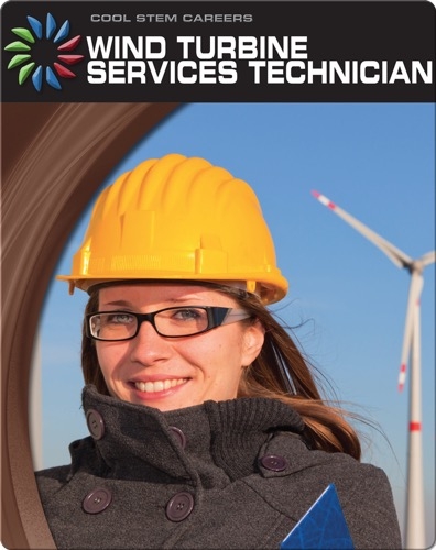 Wind Turbine Service Technician