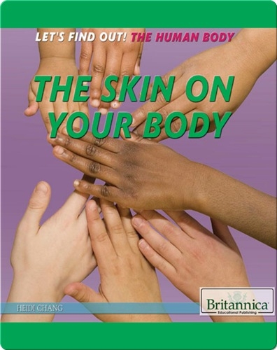 The Skin on Your Body