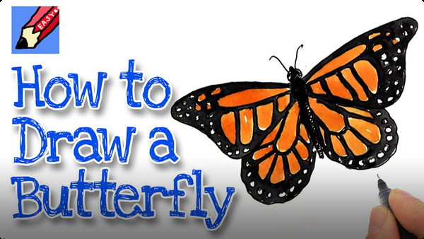 How to Draw a Monarch Butterfly Real Easy Video | Discover Fun and